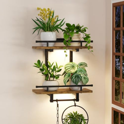 iDavosic.ly Wall Plant Holder with Grow Lights, 2 Tier Display Shelf, Brown - color: Brown with Lights