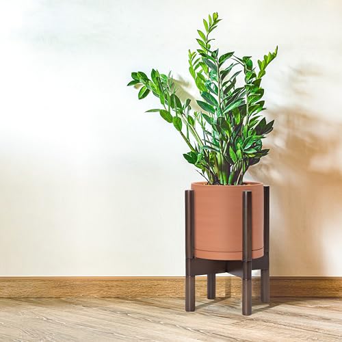D'vine Dev Terracotta Pot with Walnut Wood Stand, 8 in, 55-B-Y-5 - color: Terracotta Pot + Walnut Color Stand, size: 8 Inch