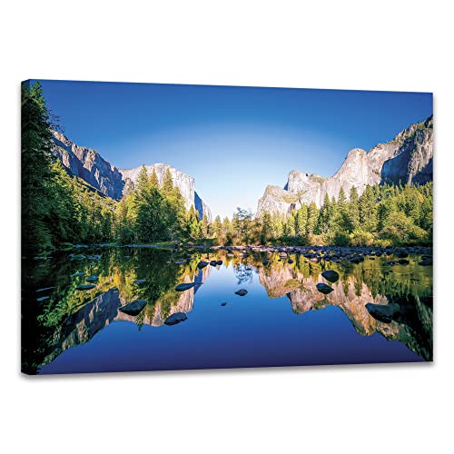 SKASNFAI Yosemite National Park Canvas Wall Art Forest Artwork Blue Lake Picture Prints Framed Home Decor for Bedroom Living Room (16x24 inch) - color: Forest 03, size: 16"L x 24"W