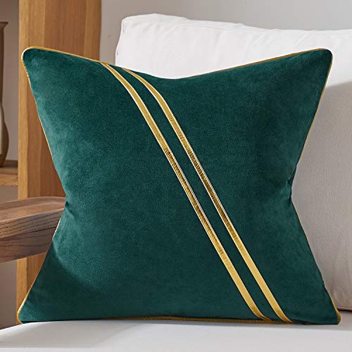Avigers Throw Pillow Cover 20 x 20 Inch, Green, Velvet, Hidden Zipper - color: Green, size: 20" x 20" (Pack of 1)