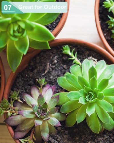 vensovo 4.5 Inch Terracotta Shallow Succulent Pots with Saucers, 6 Pack - color: Brown, size: 4.5 Inch