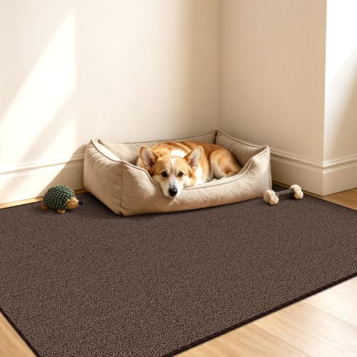 Waterproof 3x5 Small Area Rug Non Slip for Dogs Joint-Friendly, Brown - color: Sky Brown, size: 3' x 5' (Runner)
