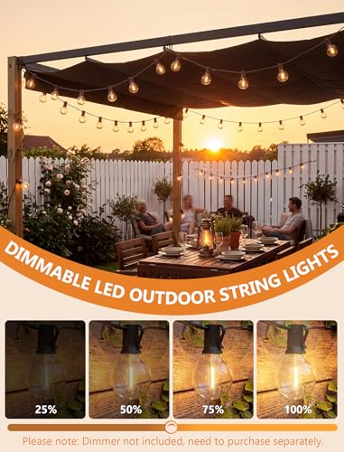 25FT LED G40 Outdoor String Lights with 25 Shatterproof Bulbs, Brown Wire - color: Brown, size: 25Ft