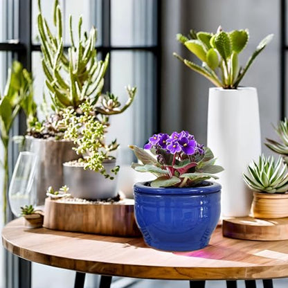 African Violet Pots Self Watering Blue 6 inch - color: Blue