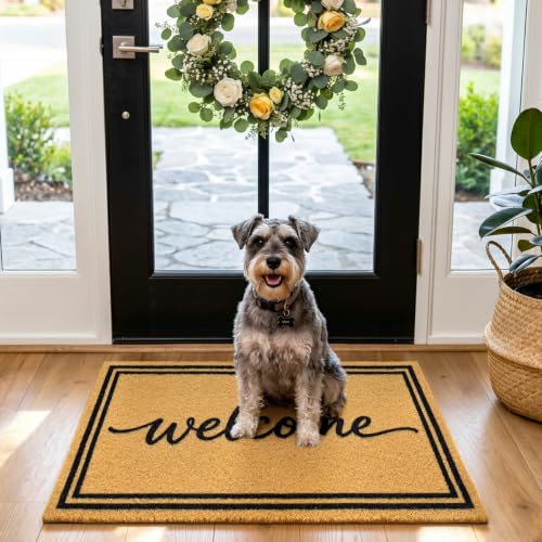 Front Door Mat Outside Non-Slip Welcome Doormat (Welcome, 17x29 in) - color: 1- Welcome Border- 2