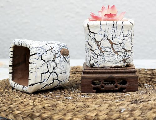 Ceramic Planter Pots w/Drainage, 3 Inch Set of 2, Indoor Outdoor Home Patio Garden Plants Flower Succulent, Crackle-Texture Square - style: Crackle-Texture Square-3" (2 pack)