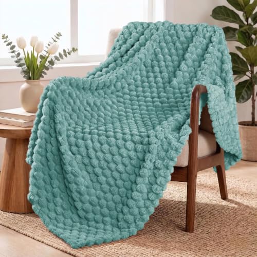 Exclusivo Mezcla Extra Large Soft Fleece Throw Blanket, 50x70 Inches 3D Clouds Stylish Jacquard Throw Blanket for Couch, Cozy Soft Lightweight for All Season, Celadon Blanket - color: Celadon, size: Throw ( 50x70 IN )