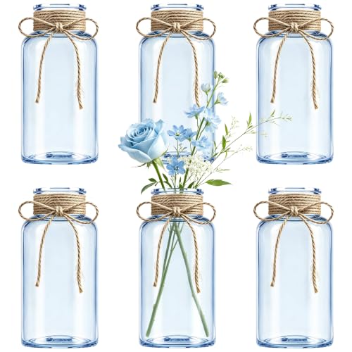 Mason Jar Glass Vases 6 Pack, Blue Flower Vase for Centerpieces - color: Blue