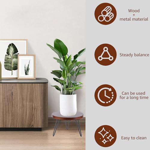 Plant Stand Indoor Outdoor, Wooden plant Stool, Mid Century Plant Stand for Indoor Plants, Wood Modern Plant Holder Rattan Flower, Low Short Boho Rustic Planter Stand Fit 5-15 Inch Pot (Walnut, M)