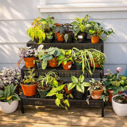 Garden 4 you 3-Tier Rectangular Metal Plant Stand, Ladder Flower Pot Rack - color: Black, size: 27.5"L x 23.6"W x 23.6"H