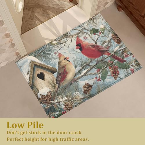 Red Cardinal Bird Bath Mat Rug, Door Mat Doormat Entrance Non-Slip Bathroom Rugs for Entryway Bathroom Kitchen 17 x 30 Inch - color: Red Cardinal Bird