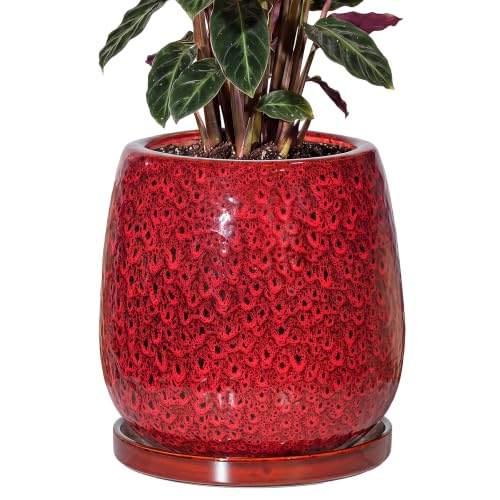 10.3 Inch Ceramic Glaze Plant Pot with Saucer, Flower Pots with Drainage Hole Mesh Net (Spot Red) - color: Spot Red