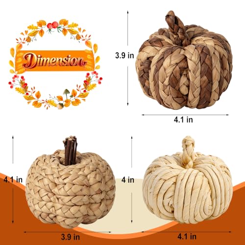 Lulu Home Set of 3 Handwoven Pumpkins Decor - color: Cream & Brown Blend