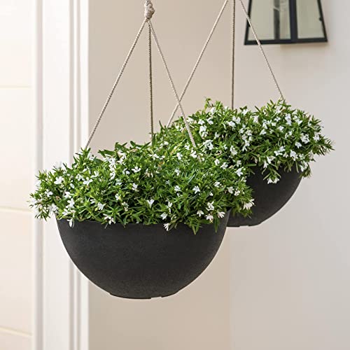 LA JOLIE MUSE Large Hanging Planters for Outdoor Plants, Set of 2, 13 Inch - color: Black