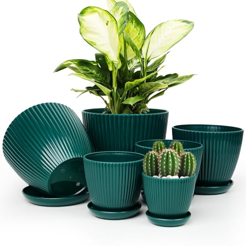 Plant Pots Indoor with Saucers & Drainage - 6 Pack Flower Pots - Plastic Planters for Indoor Planter - 7.5/6.6/5.8/5.0/4.3/3.5 inches Sizes for All Different Types of Plants-Dark Green - color: Dark Green