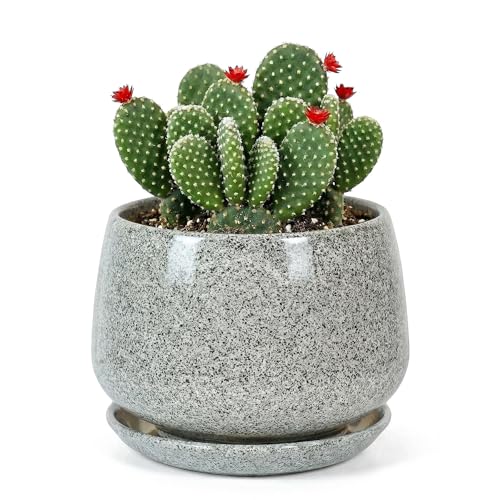 7.5 Inch Flower pots for Indoor Outdoor Plants with Saucer Drainage Leak-Proof Mesh, Ceramic Planter with Gardening Gloves for Succulent and Flower(Gray White) - color: Gray White, size: 7.5 Inch
