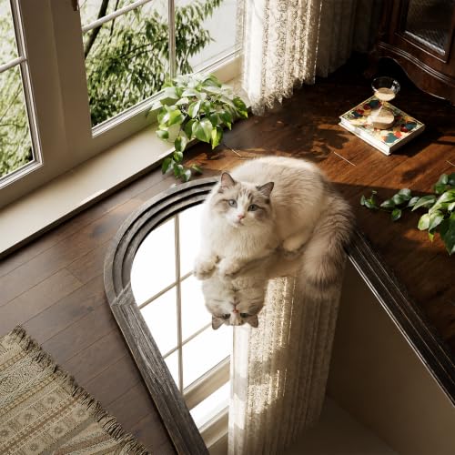 65"x22" Arched Full Length Mirror with Solid Wood Frame, Brown - color: Dark Brown, size: 65"L x 22"W