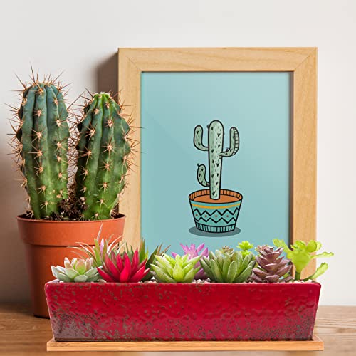 Succulent Pots - 12.1 Inch Large Succulent Planters with Drainage Tray - color: Red