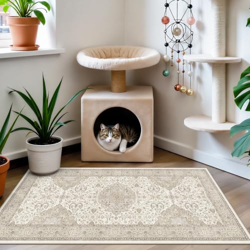 HY HAOYUNLAI Washable 2x3 Entryway Area Rug Non-Slip Slim-Profile Carpet - color: Ivory, size: 2' x 3' (Rectangular)