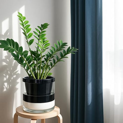 D'vine Dev Self-Watering Black Terracotta Planter Pot, 10 in, 37-X-D-3 - color: Black, size: 10 Inch