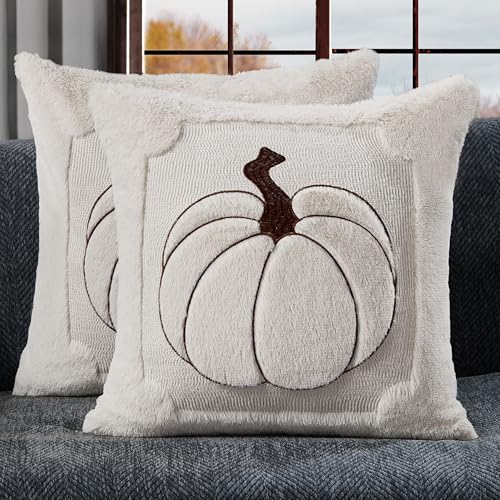 Allorry Fall Pillow Covers 16x16 2 Pack Cream White Pumpkin Home Decor 010E - color: Cream White, size: 16" x 16" (Pack of 2)