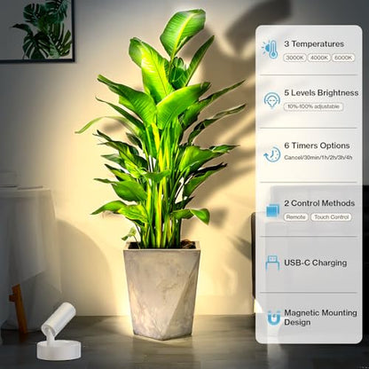 Olafus 2 Pack LED Wireless Spotlight Indoor with Timer/Remote, White - color: White