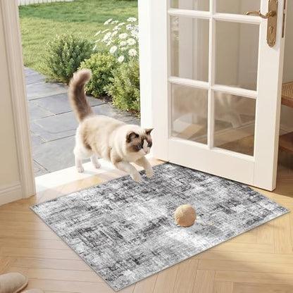 Washable Rug 2x3 for Entryway: Modern Abstract Bathroom Area Rug Black - color: Black, size: 2' x 3' (Rectangular)