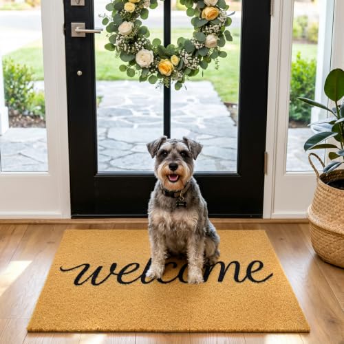 Front Door Mat Outside Non-Slip Welcome Doormat (Welcome, 17x29 in) - color: Welcome