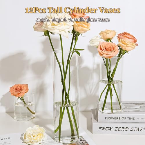 TBWIND 12pcs 12 Inch Clear Glass Cylinder Vases for Centerpieces - size: 12 Pack 12 Inch - Clear