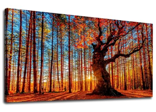 Large Forest Sunset Wall Art, Red Leaf Trees Landscape Picture, 29" x 58" - color: Autumn Forest Sunset, size: 58"L x 29"W