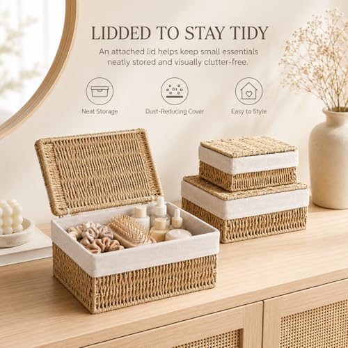 Storage Baskets with Lids Set of 3, Woven Bins with Liner - size: Small with Lids
