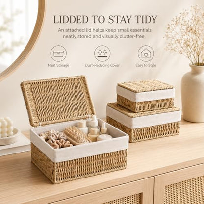Storage Baskets with Lids Set of 3, Woven Bins with Liner - size: Small with Lids