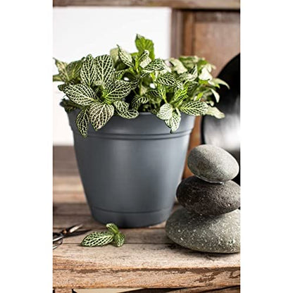 The HC Companies Eclipse Round Planter with Saucer - Outdoor & Indoor Plant Pot with Drainage Holes - Lightweight, UV-Resistant Plastic Pots for Plants, Flowers & Herbs (12" Slate Blue, Pack of 1) - size: 12"