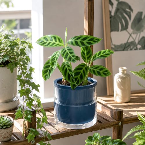 D'vine Dev Self-Watering Blue Terracotta Planter Pot, 6 in, 37-X-B-4 - color: Blue, size: 6 Inch