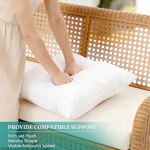 Oubonun Waterproof Outdoor Lumbar Pillow Inserts 16 x 24 Set of 2 - size: 16 × 24(Pack of 2)