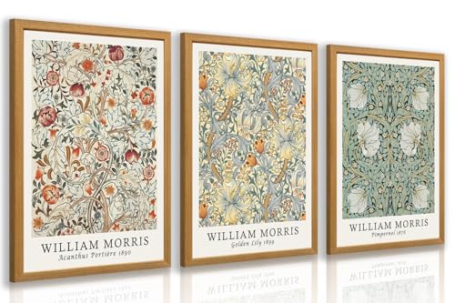 IAFWZX Wood Framed William Morris Floral Wall Art Set of 3, 12x16 in | William Morris Vintage Floral Wall Decor, Mid Century Boho Botanical Art Prints, Vintage Art Decor for Cottage and Farmhouse - color: WilliamColorFlowers(Wood), size: 16"L x 12"W
