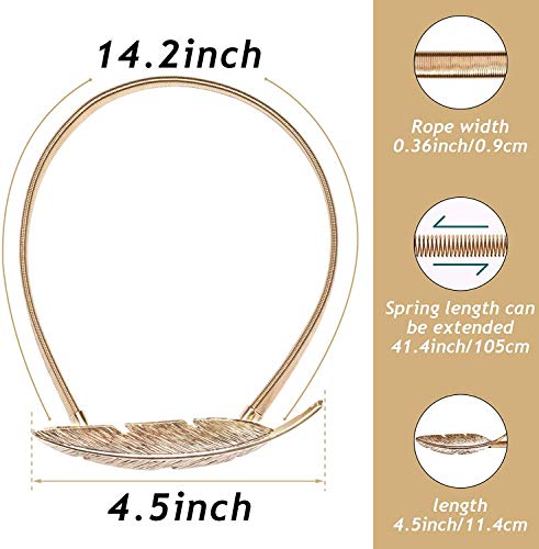 6Pack Aluminum Alloy Spring Design Curtain Holdbacks - Leaf Carving Design Ties for Drapes - Modern Style - Gold Feather Finish - color: Gold Feather