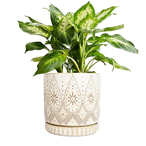 8 Inch Indoor Plant Pot with Drainage Holes and Saucers, Ceramic Planter for Plants, Succulent Orchid Flower Pots - color: Creamy White, size: 8 Inch Planter