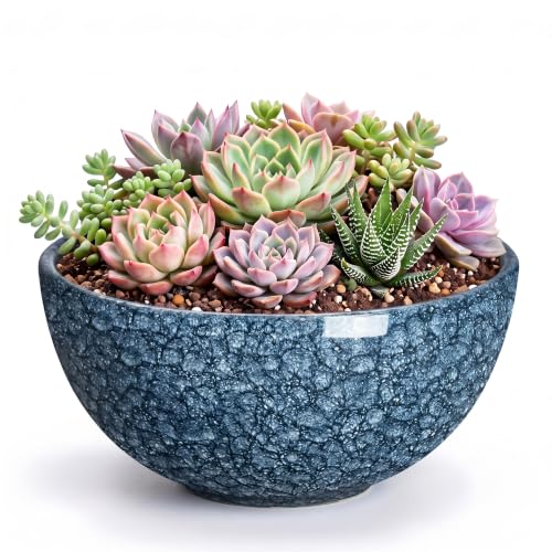Succulent Pots, 8 Inch Ceramic Bonsai Pots, Bowl Planter, Scale Blue - color: Scale Blue-1, size: 8 Inch