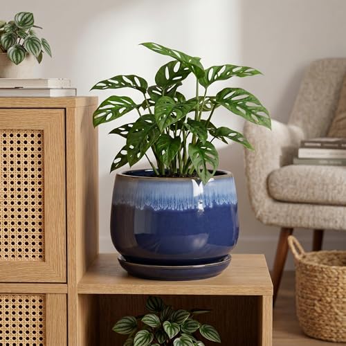 Ceramic Pots for Plants, 9 Inch Indoor Planter, Deep Blue - size: 9 Inch, style: Deep Blue