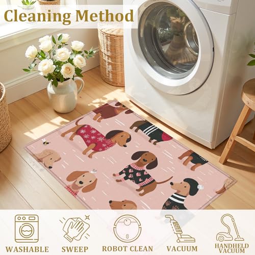 Pink Dachshund Dog Bath Mat Rug, Door Mat Doormat Entrance Non-Slip Bathroom Rugs for Entryway Bathroom Kitchen 17 x 30 Inch - color: Pink Dachshund Dog
