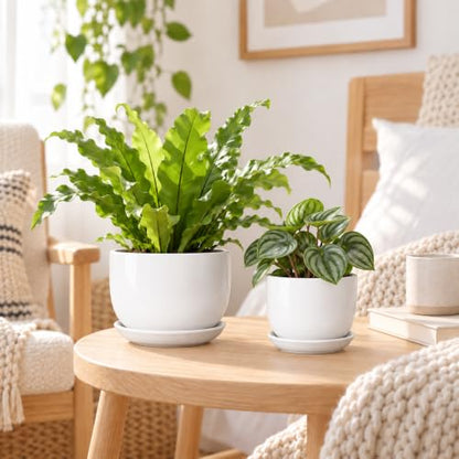6.7 + 5.5 Inch Ceramic Plant Pot with Drainage and Saucer - size: 6.7 + 5.5 Inch 2 Pcs