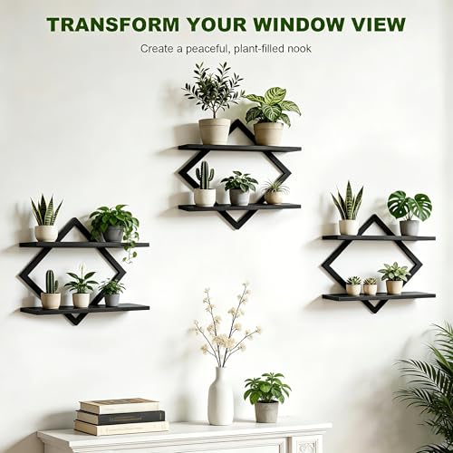 Set of 3 Wall Plant Holder, Black - color: Black-3pack
