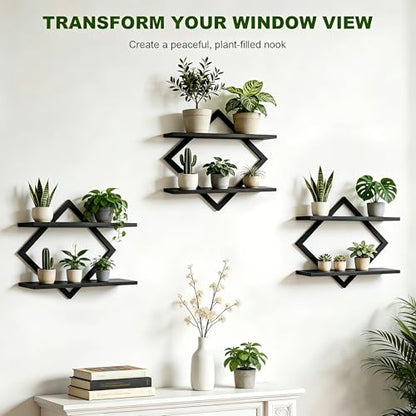 Set of 3 Wall Plant Holder, Black - color: Black-3pack