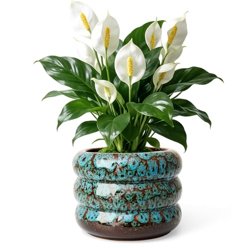 Ceramic 6 inch Plant Pot - Planter for Indoor Plants with Drainage Hole - color: Blue-s