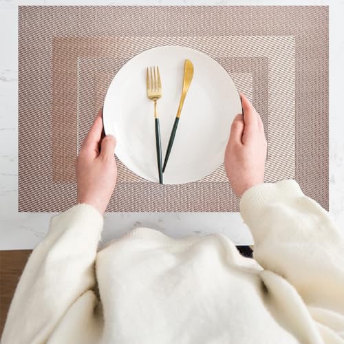 PIGCHCY Placemats,Heat Resistant Non Slip Durable Plastic Place Mats,Washable Easy to Clean Woven Vinyl Kitchen Placemats for Dining Table Set of 4 (Champagne) - color: Box: Champagne, size: 4 Placemats