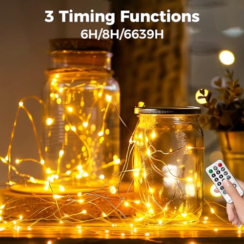 btfarm Fairy Lights Plug in with Remote, 330FT 1000 LED Twinkle Lights - color: Warm White, size: 1 Pack-330FT