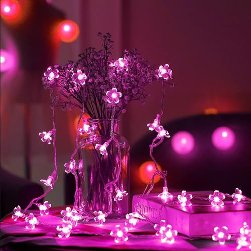 USB & Battery Powered Pink Cherry Blossom Flower String Lights Party Decor - color: Pink