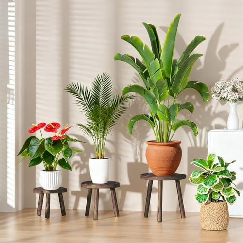 3 Pack Plant Stand Indoor Outdoor Mid-Century Modern Plant Stool Wooden Plant Pot Holder Home Decor for Gardening Living Room,Balcony,Office (Heavy Burnt Color, 3 Pack) - color: Heavy Burnt Color
