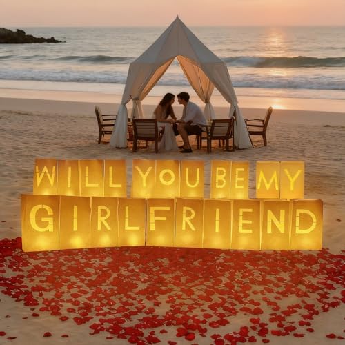 Will You Be My Girlfriend Decorations – Valentine’s Day Surprise Set with Light Up Letters, 30 Tea Light Candles, 2000 Rose Petals, 10 Balloons – Luminary Bags for Romantic Setup - style: Will You Be My Girlfriend